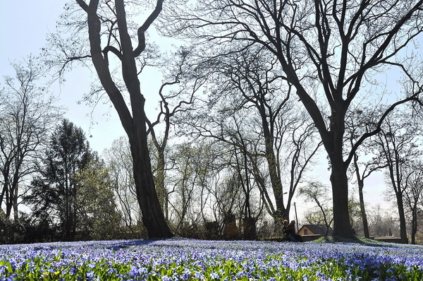 Fruehling2012   047.jpg